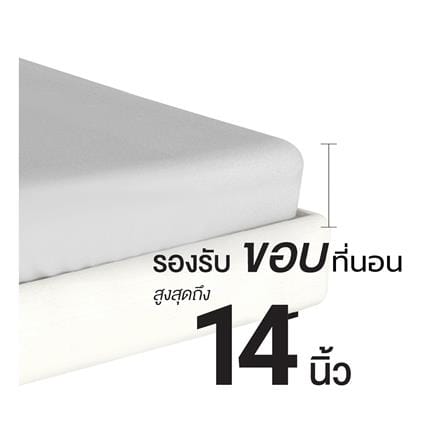 ชุดผ้าปูที่นอน 6 ฟุต 6 ชิ้น FROLINA MICROTEX DF055_7