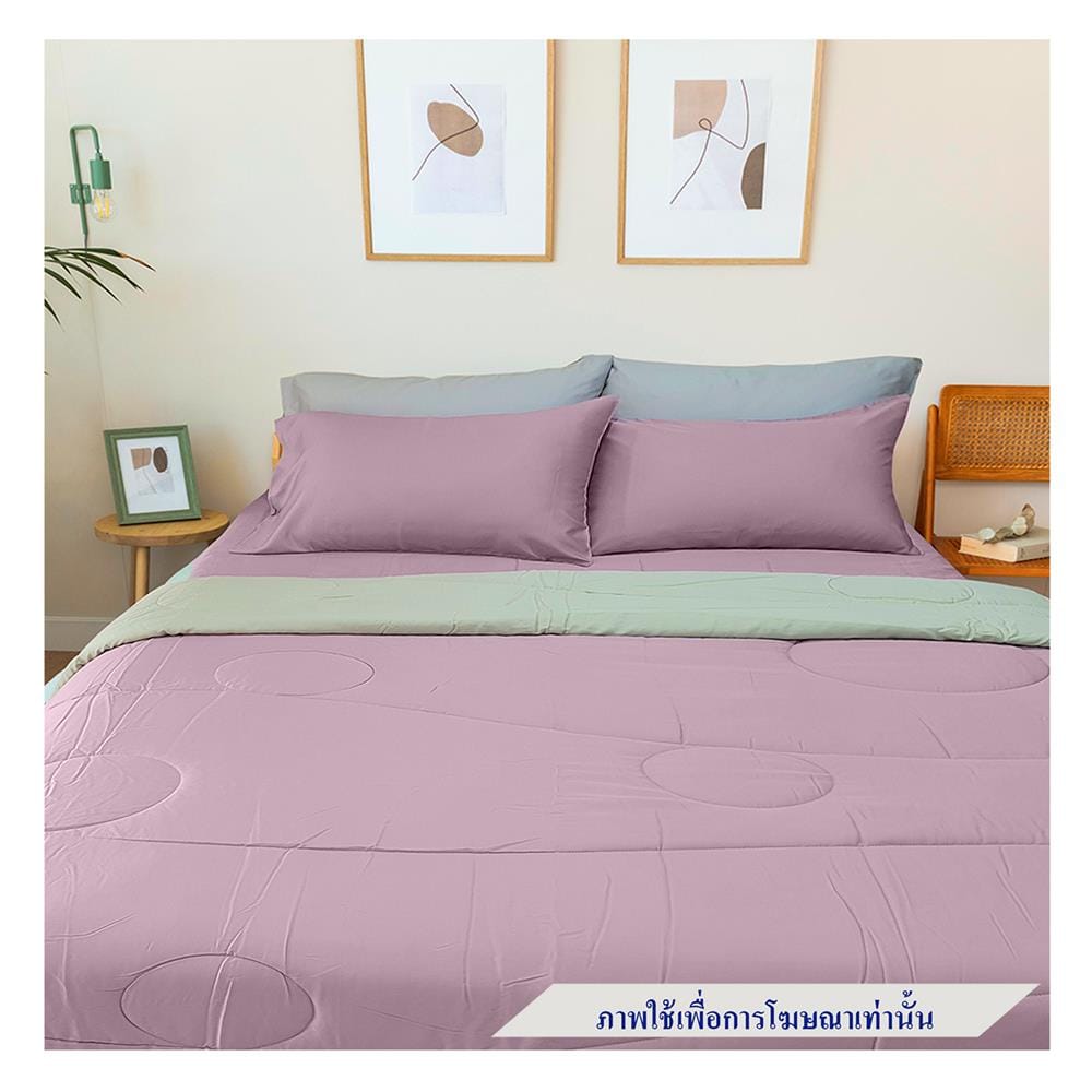 ชุดผ้าปูที่นอน 6 ฟุต 3 ชิ้น ESSE TENCEL SOLID สี PURPLE MINT