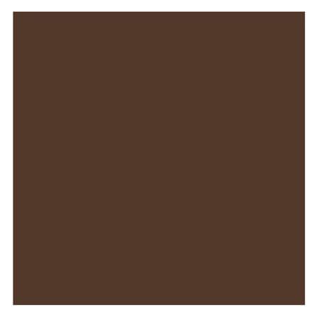 ผ้านวม PREMIER SATIN ROYAL TOUCH SOLID 100X90 นิ้ว SPC075_1