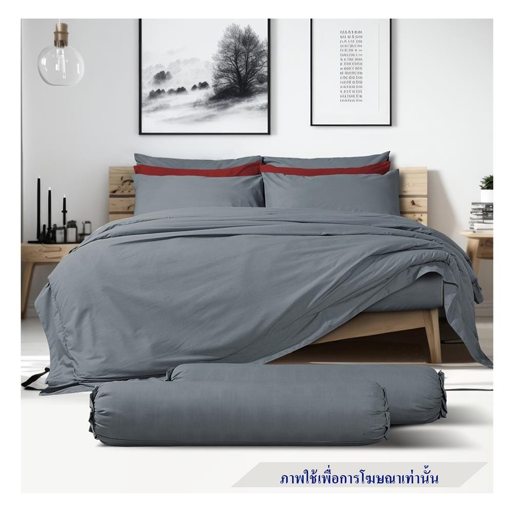ชุดผ้าปูที่นอน 6 ฟุต 6 ชิ้น PREMIER SATIN PREMIER MIX SP031