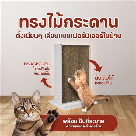 ที่ลับเล็บแมว LUVORA CATHOME 4 ทรงสี่เหลี่ยม_4