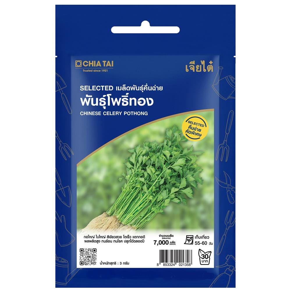 เมล็ดพันธุ์คื่นฉ่าย พันธุ์โพธิ์ทอง ตราเจียไต๋ 3 กรัม
