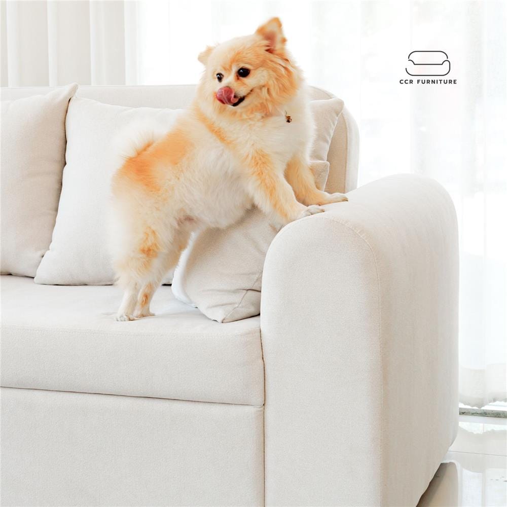 โซฟาเบด ผ้าสำหรับสัตว์เลี้ยง CCR FURNITURE รุ่น NARA (นารา) ขนาด 160 cm. สีขาว (PET382-04)_7