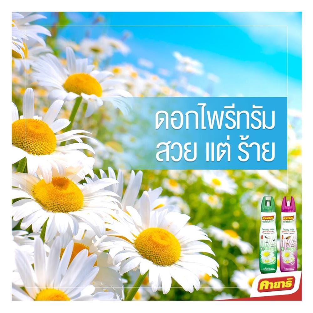 สเปรย์กันยุง แมลงวัน และแมลงบิน KAYARI PYRETHRUM 600 มล. SHIZEN