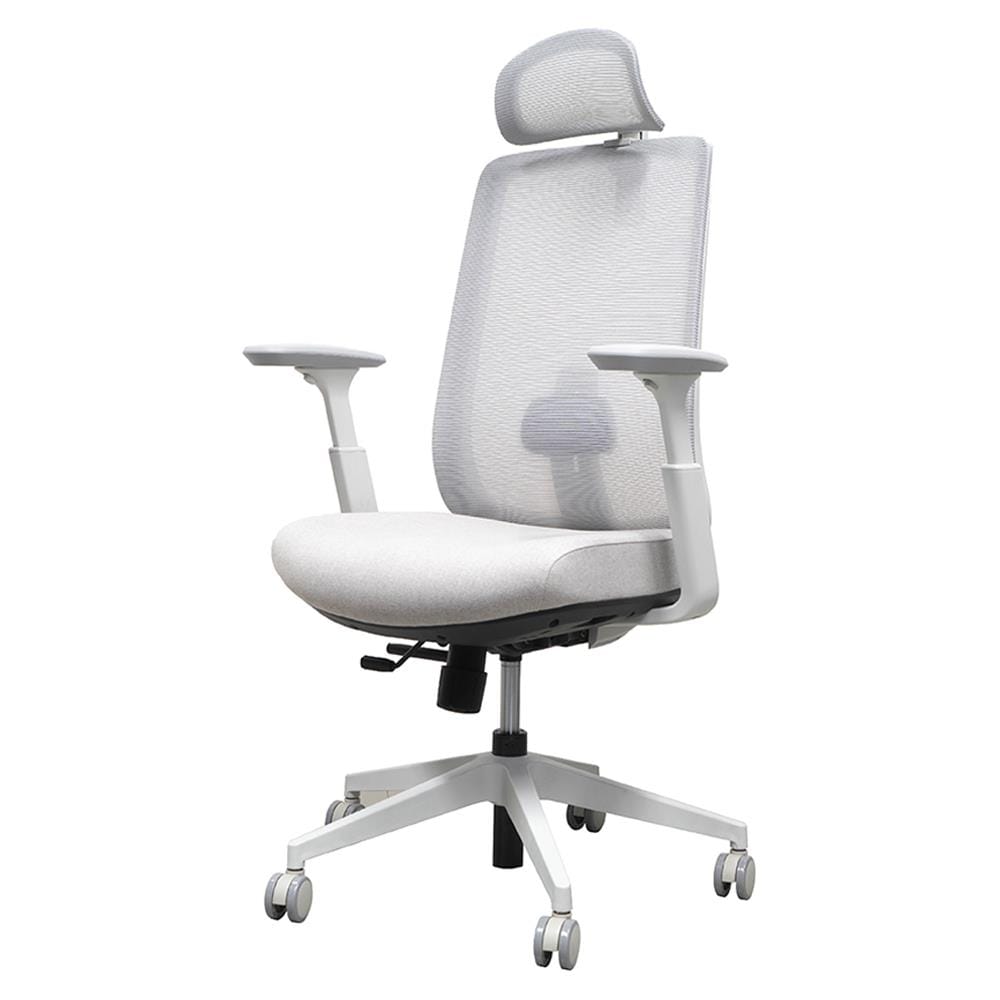 เก้าอี้สุขภาพ WORKSCAPE GEMINI WCH-00049 สีเทา
