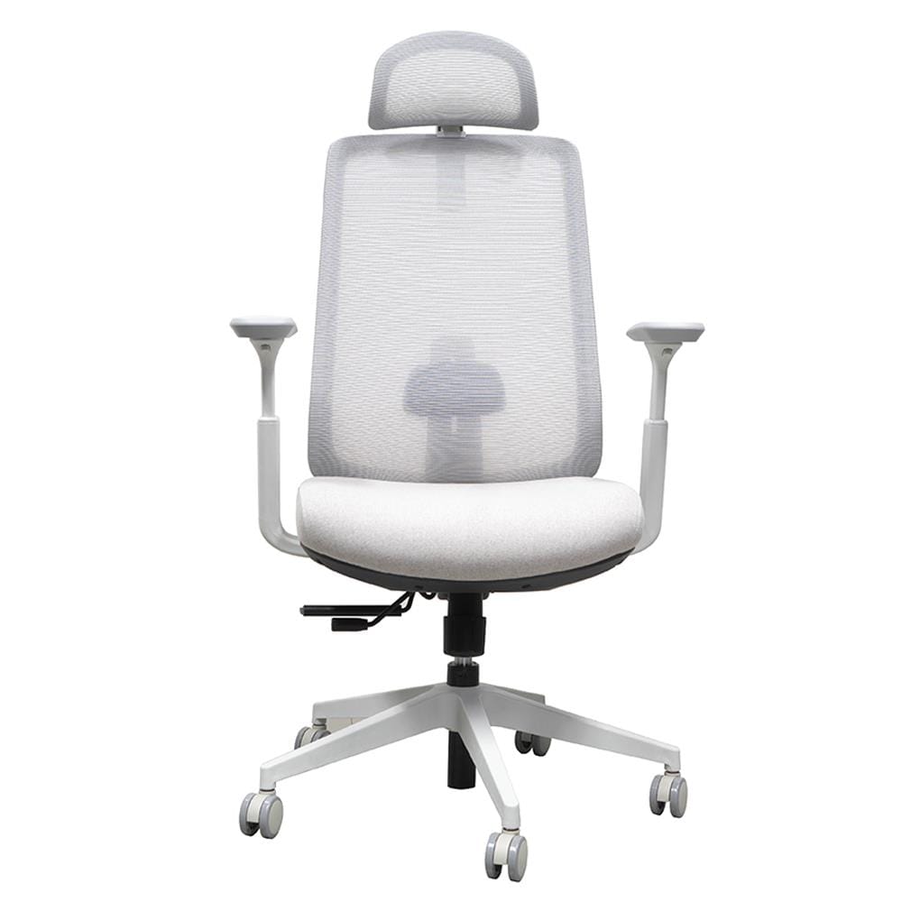เก้าอี้สุขภาพ WORKSCAPE GEMINI WCH-00049 สีเทา