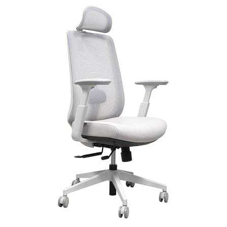 เก้าอี้สุขภาพ WORKSCAPE GEMINI WCH-00049 สีเทา_2