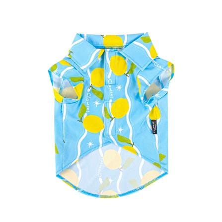 เสื้อสัตว์เลี้ยง CLAWSET SHIRT LEMON ไซซ์ 16 สีฟ้า_0