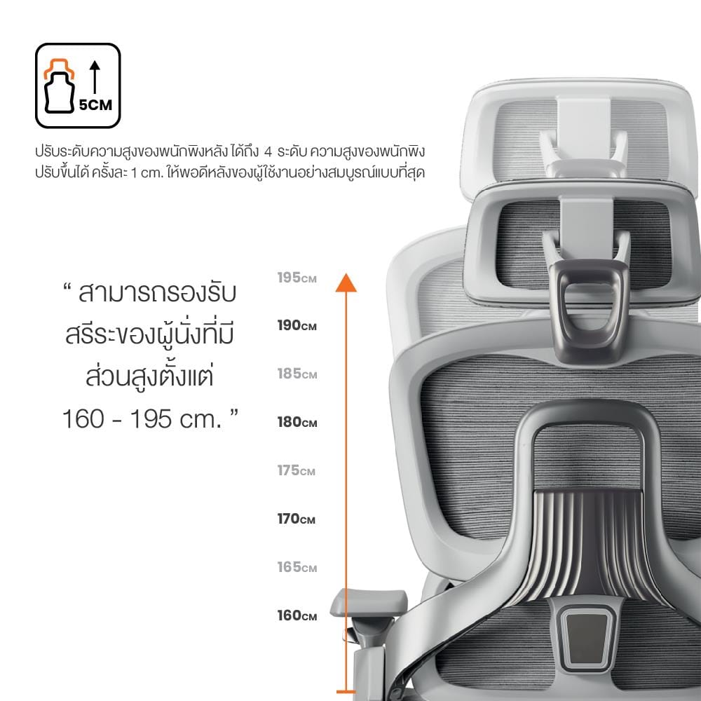 เก้าอี้สุขภาพ ERGOTREND ULTIMATE SPACIO สีเทา