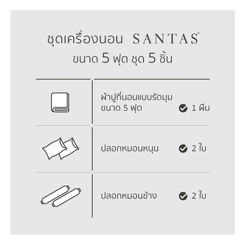 ชุดผ้าปูที่นอน 5 ฟุต 5 ชิ้น SANTAS CYBERPOP GR