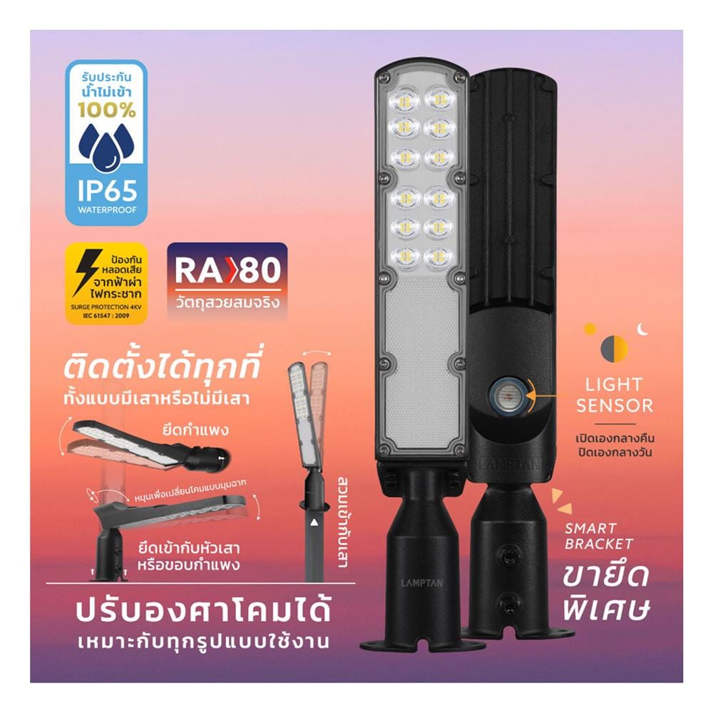 ไฟถนน LED LAMPTAN SKYLINE 30 วัตต์ DAYLIGHT สีดำ