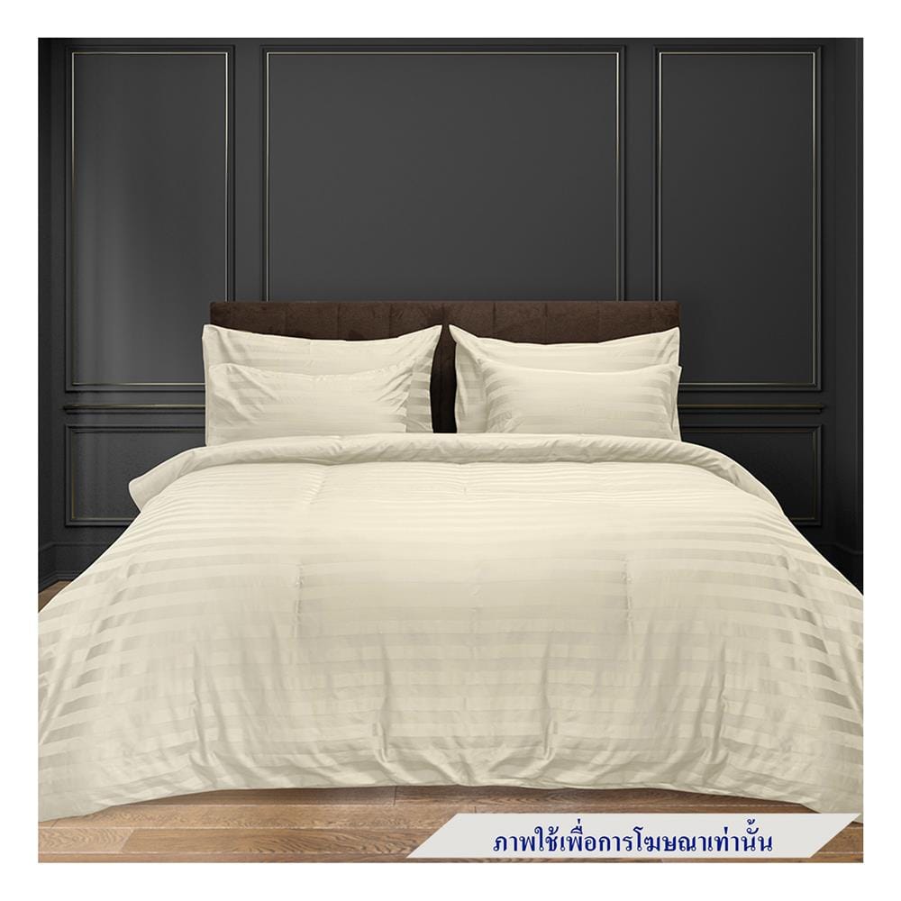 ผ้าปูที่นอน PICASSO CT STRIPE 90X110 นิ้ว สี CREAM