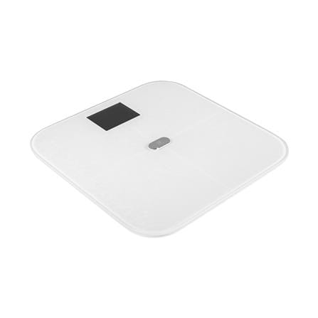 เครื่องชั่งน้ำหนักวัดมวลกาย NIKITO CF588BLE+WIFI สีขาว_1