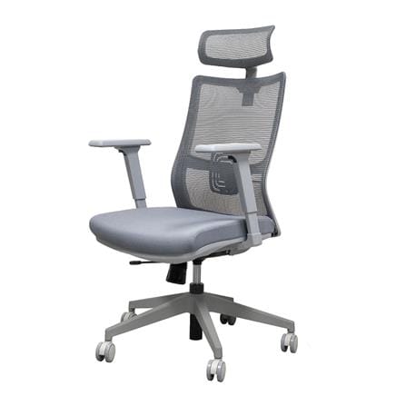 เก้าอี้สุขภาพ WORKSCAPE MALIN WCH-00061 สีเทา
