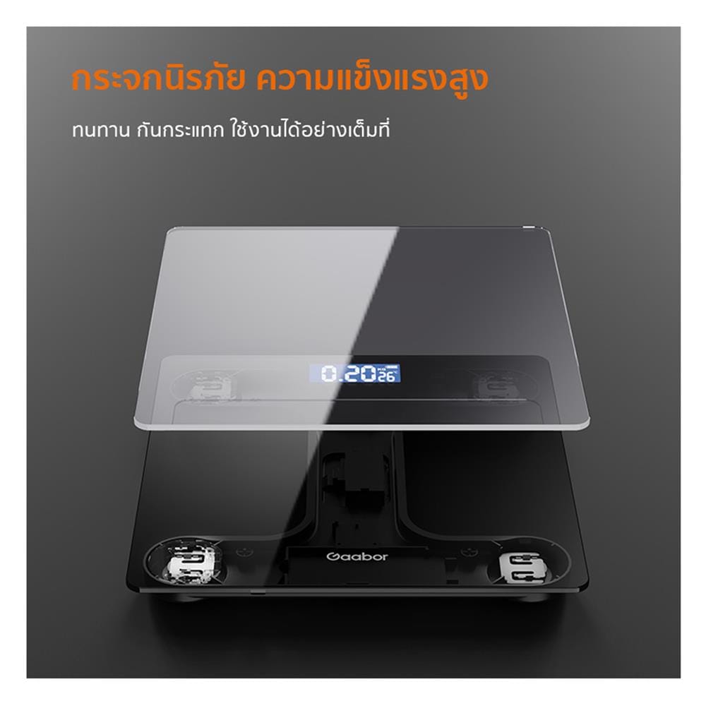 เครื่องชั่งน้ำหนัก GAABOR GWS-M01A