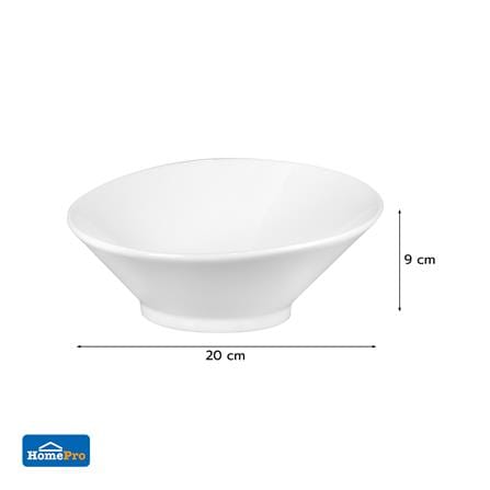 ชาม PORCELAIN 8 นิ้ว KECH SNOW PROF. SLOPE_5