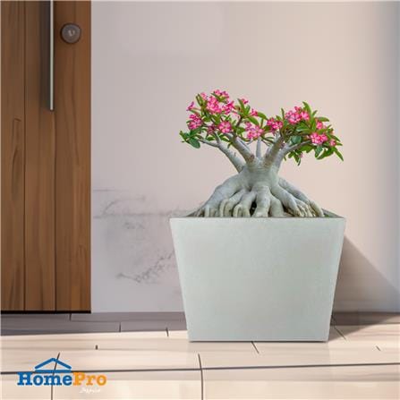 กระถางลูกเต๋า SPRING 30X30X30 ซม._3