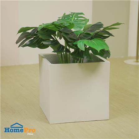 กระถางลูกเต๋า SPRING 35X35X35 ซม._4