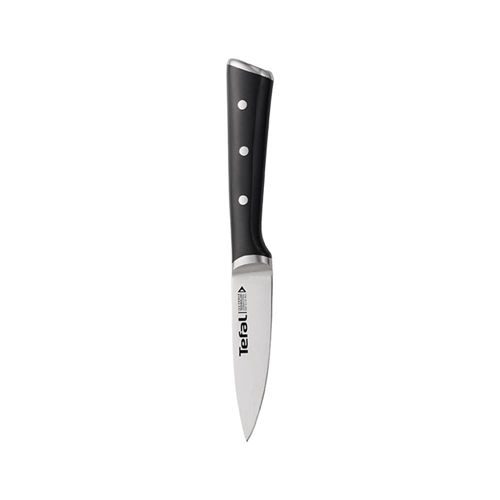 มีดปอกผลไม้ TEFAL ICE FORCE 9 ซม. สีเงิน