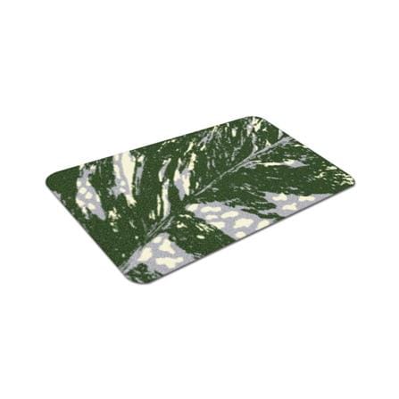 พรมเช็ดเท้าดักฝุ่น PRAW TROPICAL DAVIL'S IVY DE/PR147 50X75 ซม. สีเขียว_2