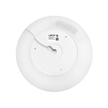 ไฟเพดาน LED LAMPTAN BEHIND 11.5 นิ้ว 24 วัตต์ DAYLIGHT/COOL WHITE/WARM WHITE สีขาว_1