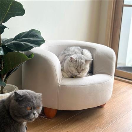 โซฟาสัตว์เลี้ยง PET BUDDY PB02 55X50X36 ซม. สีครีม_2