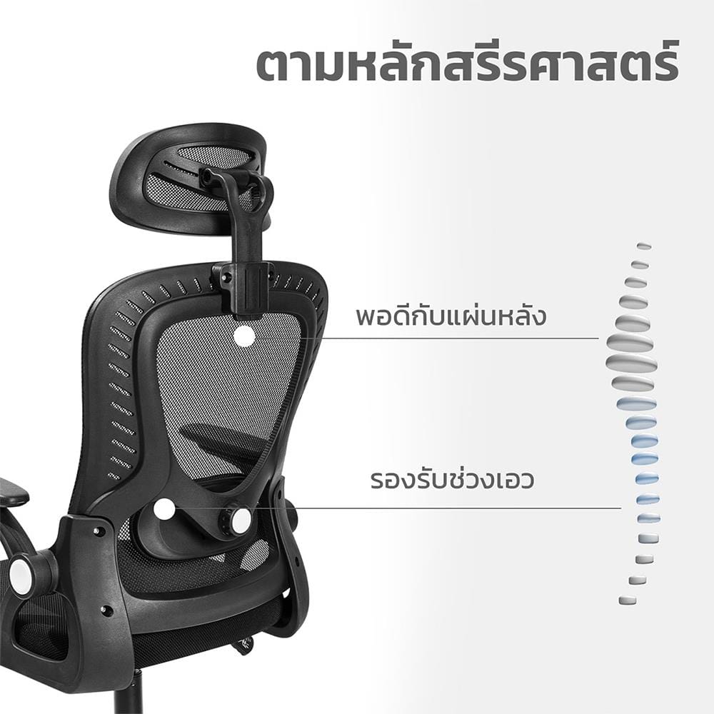 เก้าอี้สำนักงาน DELI E4958-BK-01 สีดำ