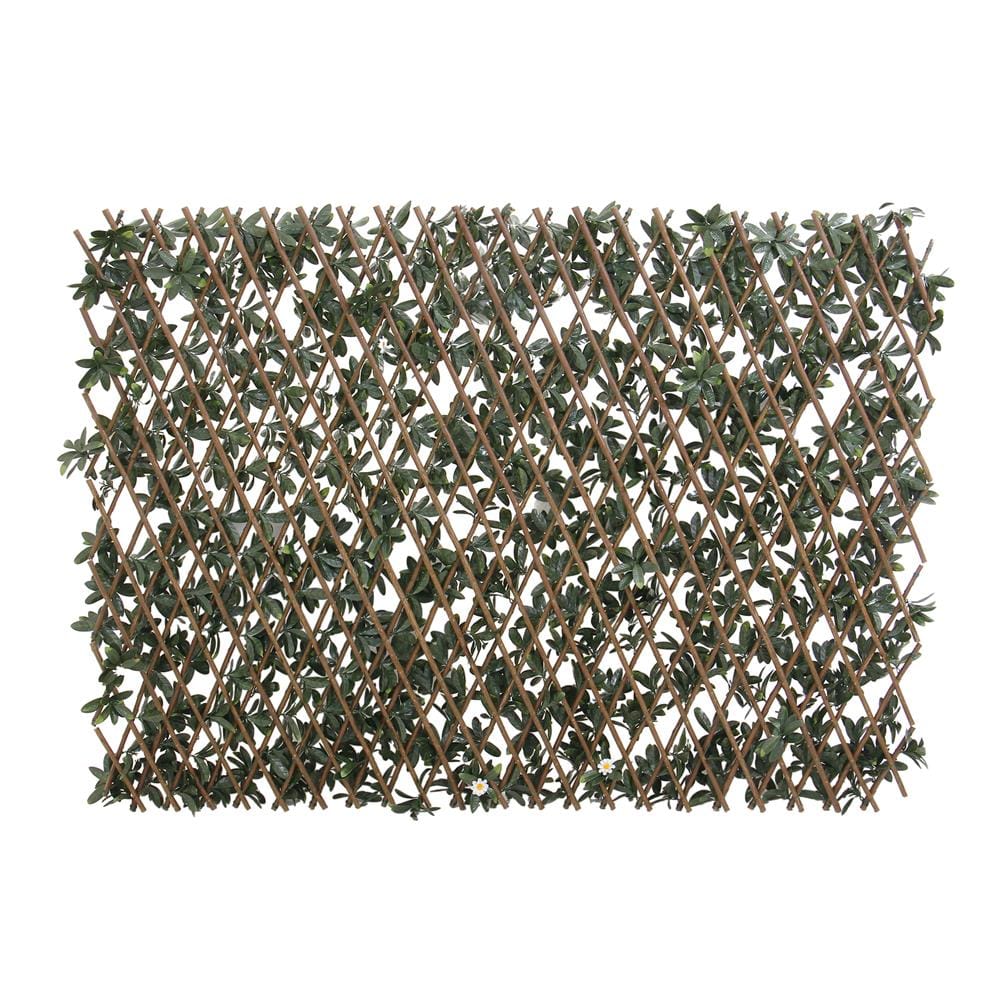 รั้วไม้อเนกประสงค์ ยืด-หด SPRING AZALEA 200X100 ซม.