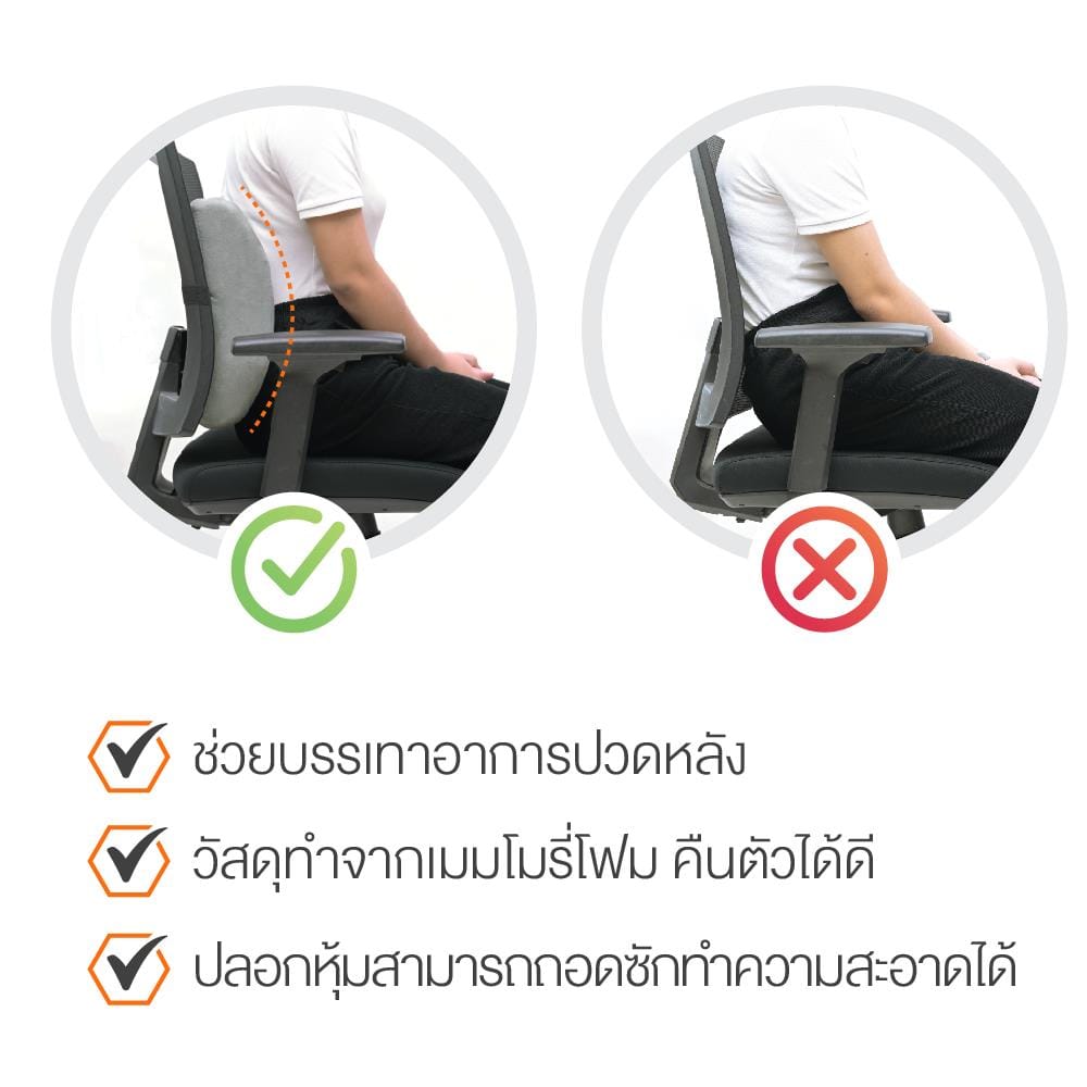 เบาะรองหลัง ERGOTREND SIZE M 16X14 นิ้ว สีเทา