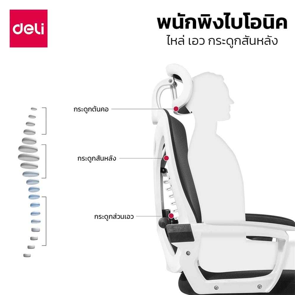 เก้าอี้สำนักงาน DELI E4935-BK-01 สีดำ/ขาว