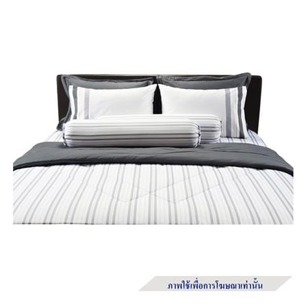 ชุดผ้าปูที่นอน 3.5 ฟุต 4 ชิ้น SANTAS COTTON USA BALLETIC GR_2