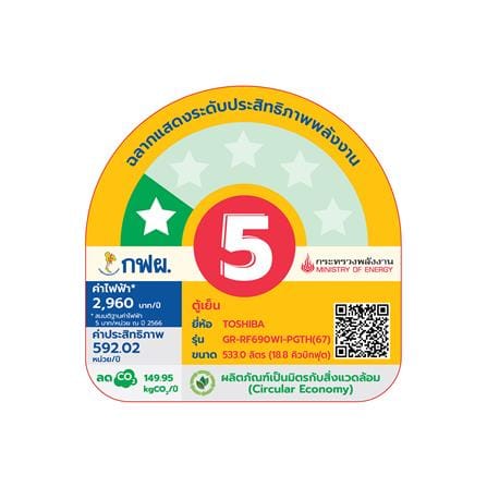 ตู้เย็น MULTI DOOR TOSHIBA GR-RF690WI-PGTH(67) 18.8 คิว อินเวอร์เตอร์ กระจกขาว_5