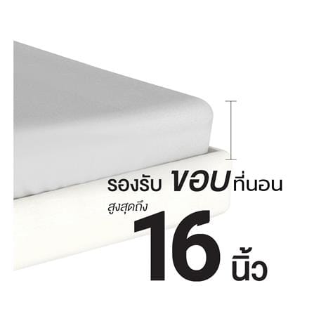 ชุดผ้าปูที่นอน 3.5 ฟุต 2 ชิ้น FROLINA LUXE SENSATION BLISS QUANTUM LSSF011_6