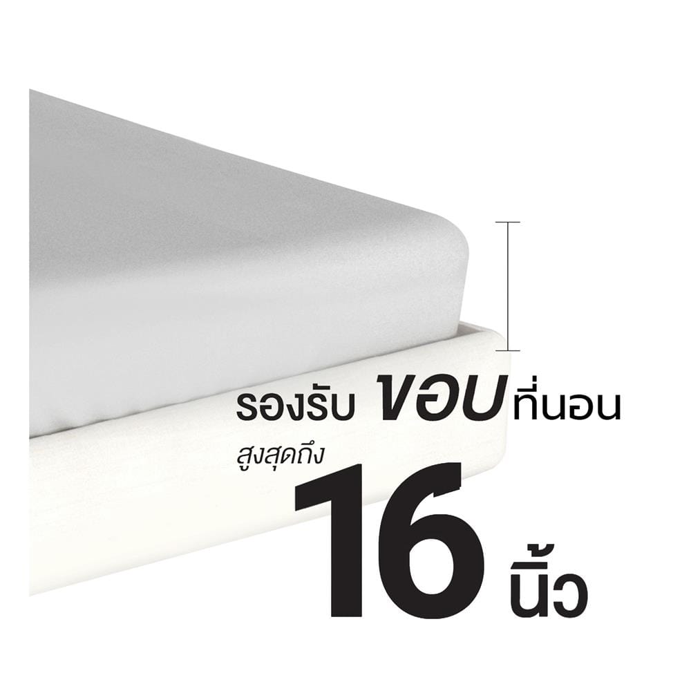 ชุดผ้าปูที่นอน 3.5 ฟุต 2 ชิ้น FROLINA LUXE SENSATION BLISS QUANTUM LSSF012