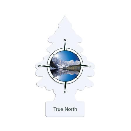 แผ่นหอมปรับอากาศ LITTLE TREES 0.02 กรัม TRUE NORTH_0