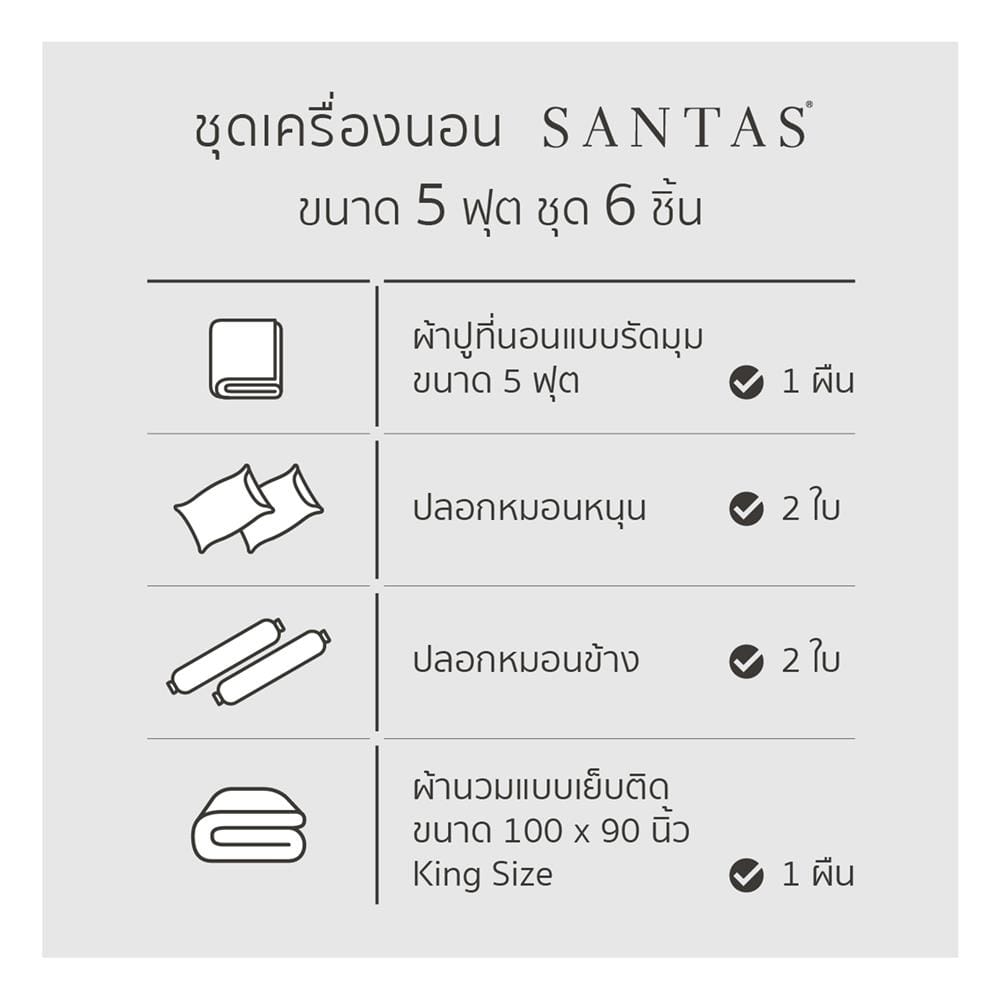 ชุดผ้าปูที่นอน 5 ฟุต (ชุด 6 ชิ้น) SANTAS COTTON USA สี MERAKI VI