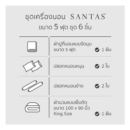 ชุดผ้าปูที่นอน 5 ฟุต (ชุด 6 ชิ้น) SANTAS COTTON USA สี MERAKI VI_6