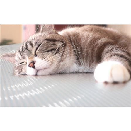 แผ่นอเนกประสงค์ลดอุณหภูมิ MEIWA LB 60X90 ซม._5