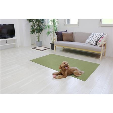 พรมกันลื่น MEIWA GR 60X90 ซม._5