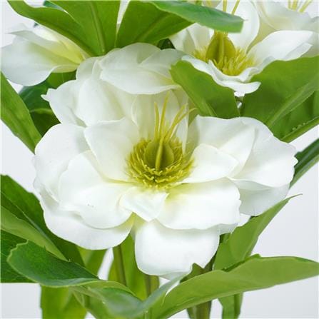 ดอกกุหลาบคริสต์มาส SPRING 25 ซม._2