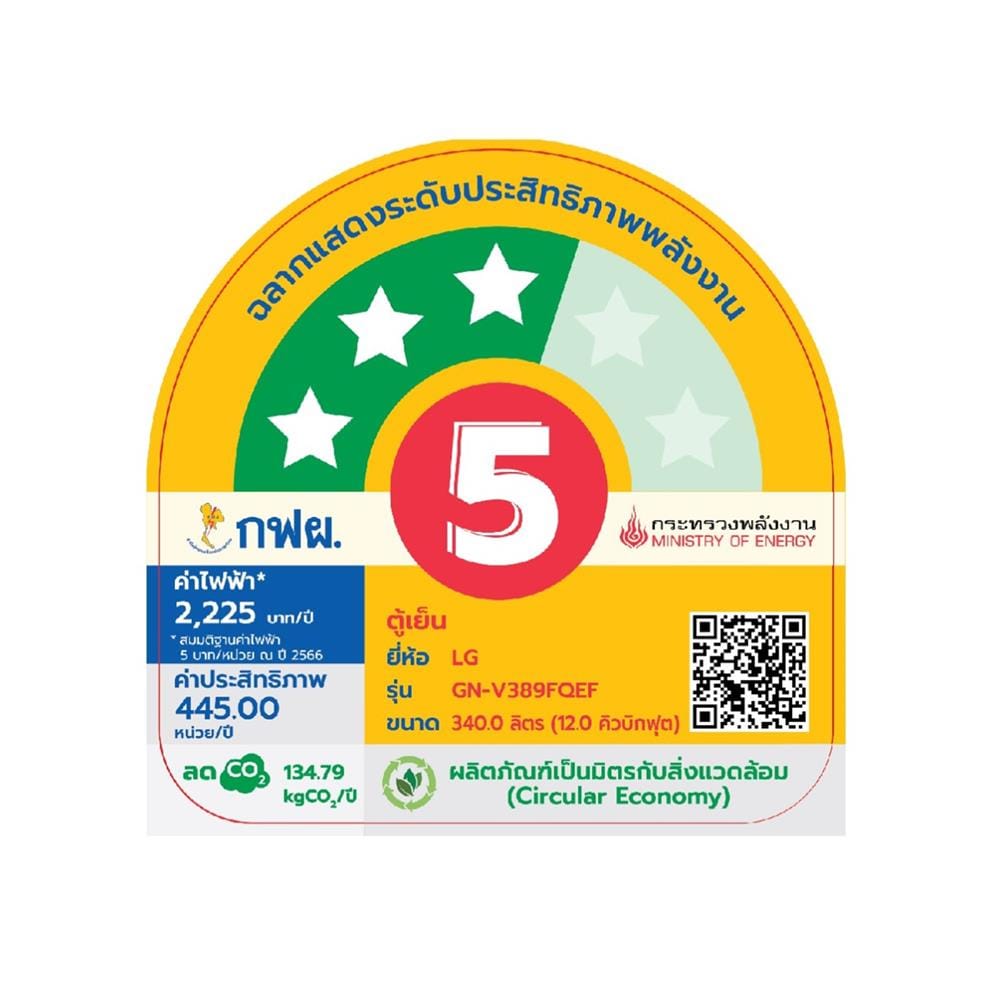 ตู้เย็น 2 ประตู LG GN-V389FQEF.AEPPLMT ฟรีซล่าง 12 คิว สีดำด้าน