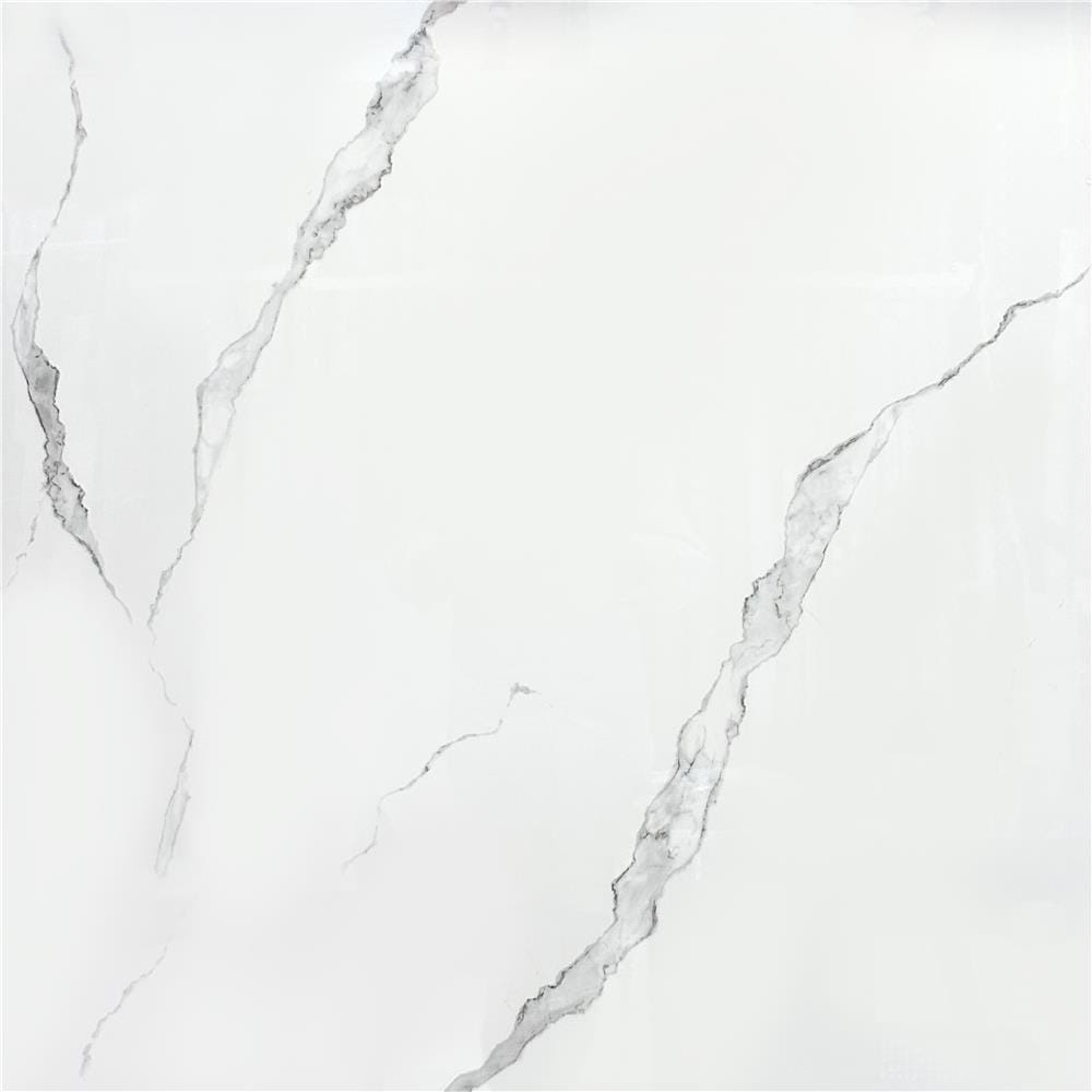 แผ่นตกแต่งผนัง SPC WALL PANEL 122x244 ซม. TARA โอปอล์ ไวท์