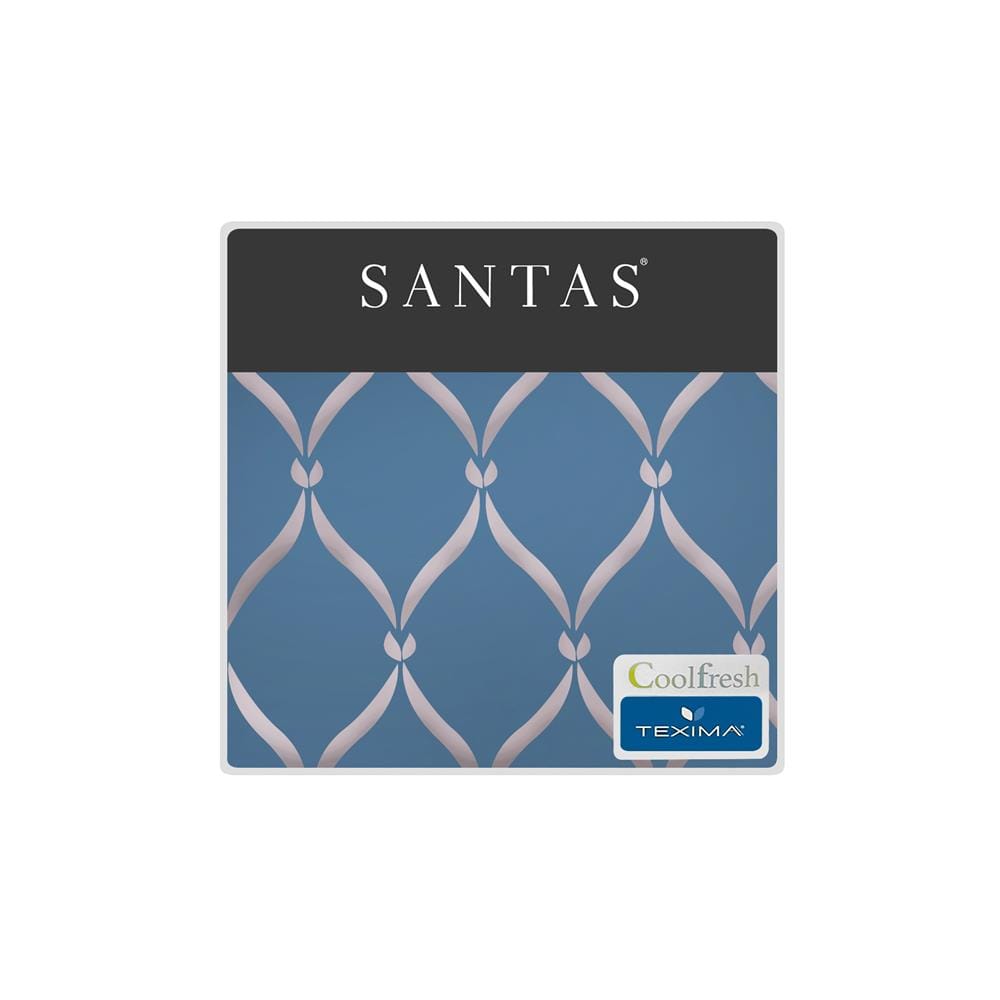 ชุดผ้าปูที่นอน 6 ฟุต (ชุด 5 ชิ้น) SANTAS TEXIMA NABOB BL