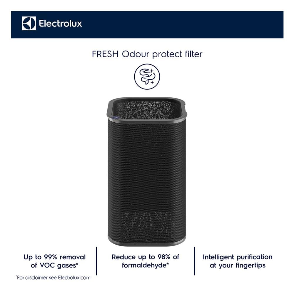 แผ่นกรองเครื่องฟอกอากาศ ELECTROLUX EF22002