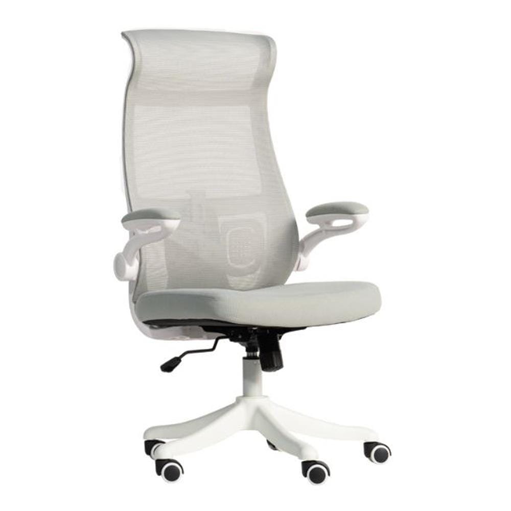 เก้าอี้สำนักงาน DESKSPACE NEXCHAIR สีเทา