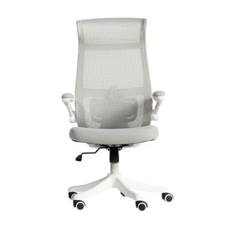 เก้าอี้สำนักงาน DESKSPACE NEXCHAIR สีเทา_1