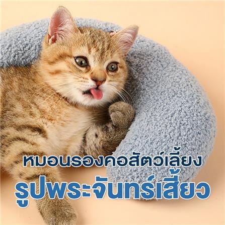 หมอนรองคอพระจันทร์ PETUS สีฟ้า_1