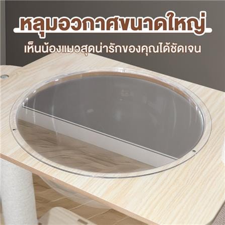 คอนโดแมวไม้ PETUS P101 146X68.5 ซม._3