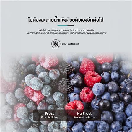 ตู้เย็น 2 ประตู HISENSE RT549N4TBN 15 คิว สีดำ_10