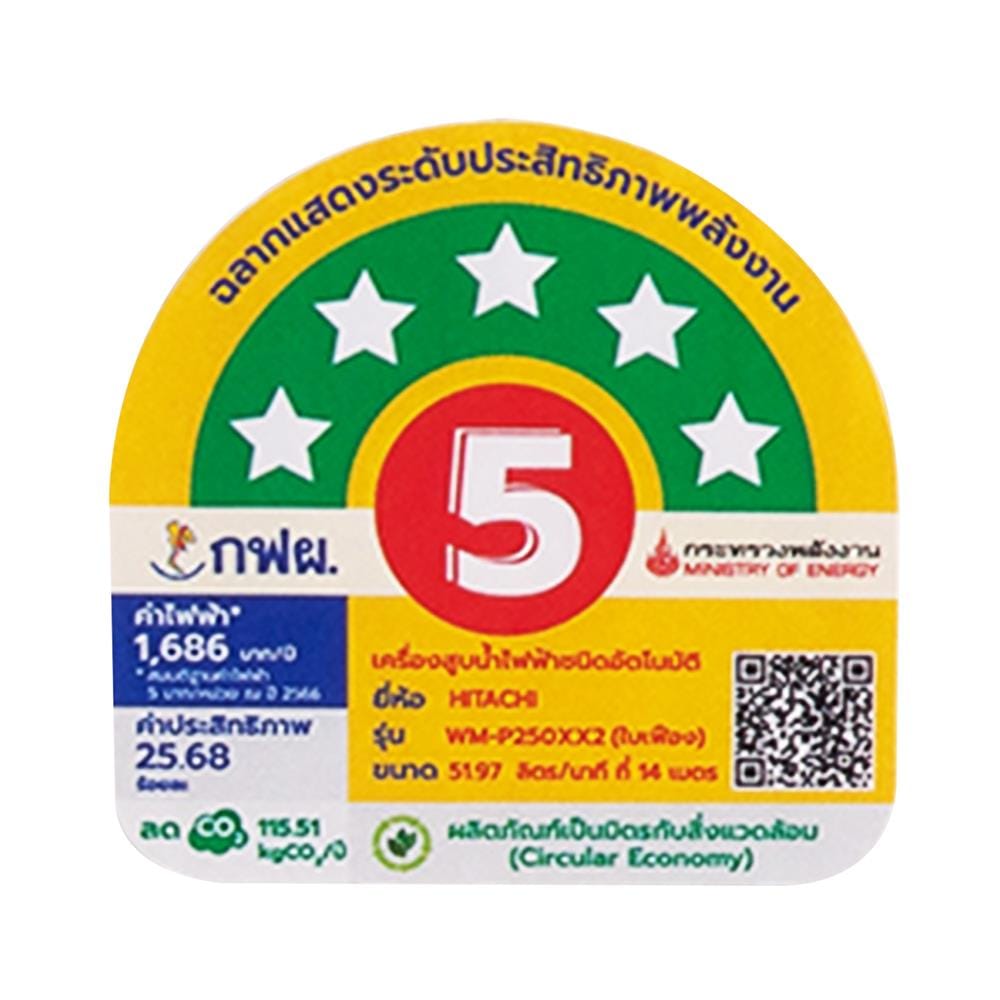 ปั๊มน้ำอัตโนมัติ HITACHI WM-P200XX2 200 วัตต์